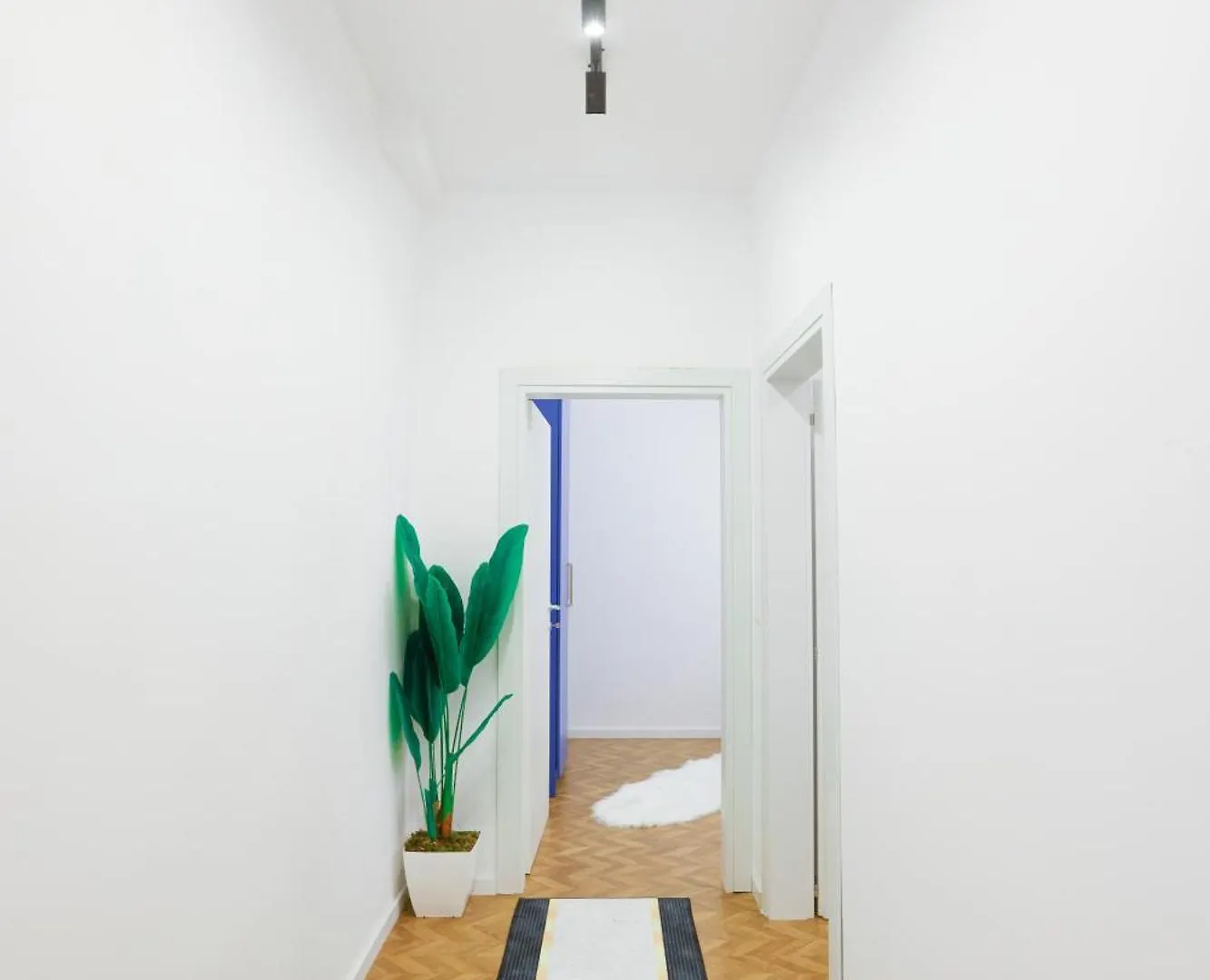 Lucjanos Studio Apartments Tirana